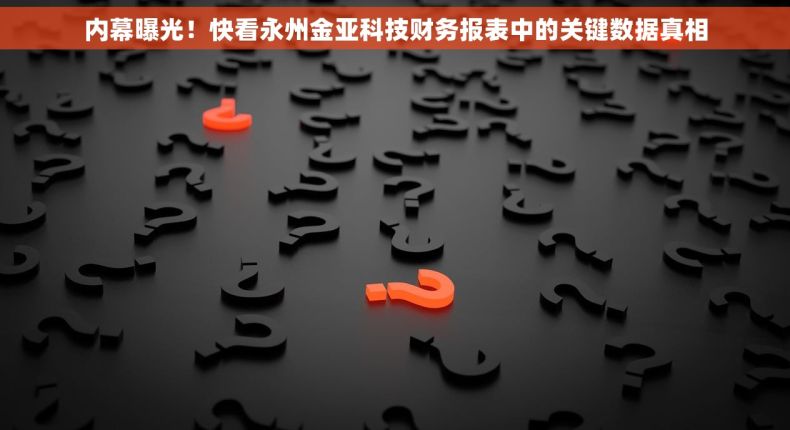 内幕曝光！快看永州金亚科技财务报表中的关键数据真相
