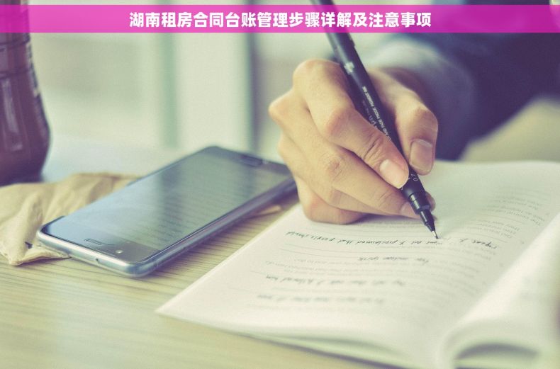 湖南租房合同台账管理步骤详解及注意事项