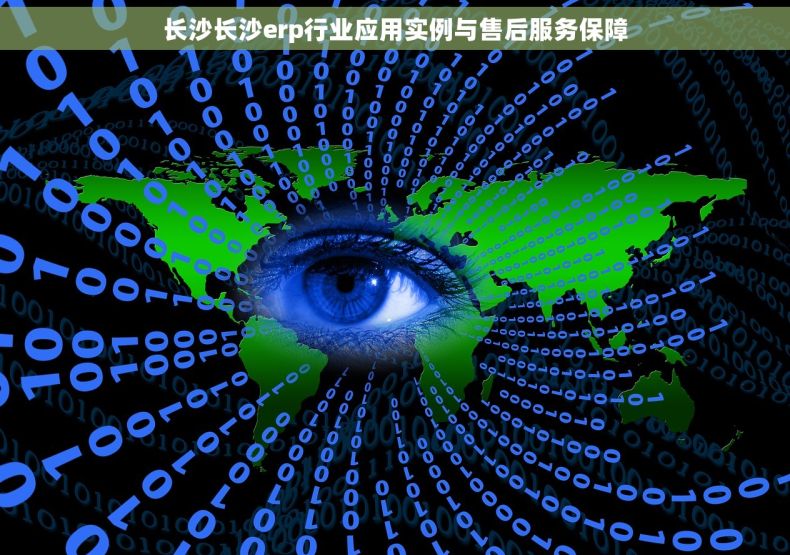 长沙长沙erp行业应用实例与售后服务保障