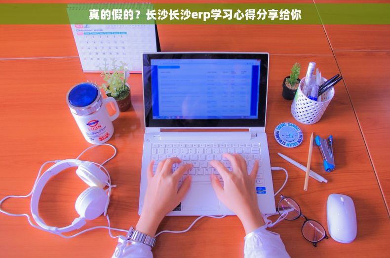 真的假的？长沙长沙erp学习心得分享给你