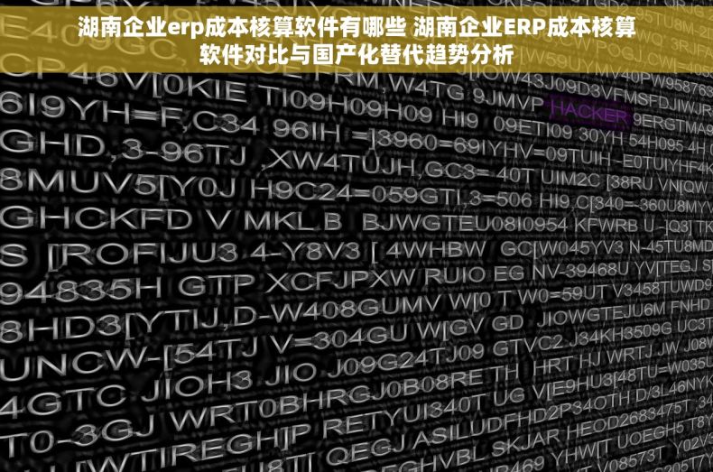 湖南企业erp成本核算软件有哪些 湖南企业ERP成本核算软件对比与国产化替代趋势分析