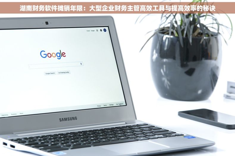 湖南财务软件摊销年限：大型企业财务主管高效工具与提高效率的秘诀