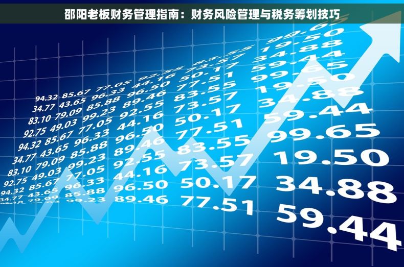 邵阳老板财务管理指南：财务风险管理与税务筹划技巧