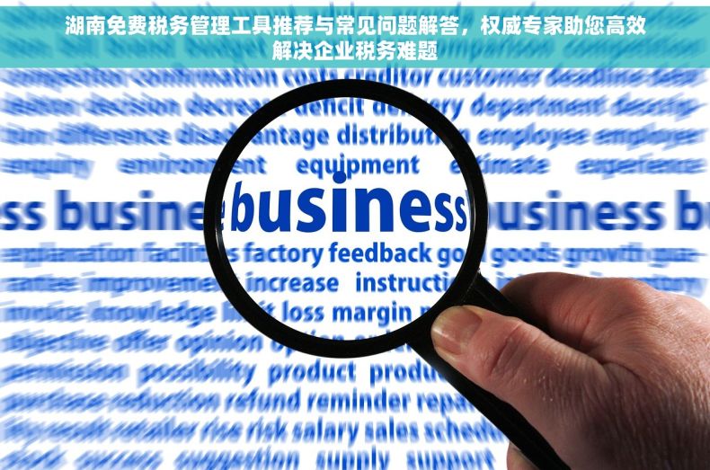 湖南免费税务管理工具推荐与常见问题解答，权威专家助您高效解决企业税务难题