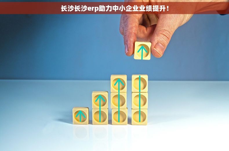 长沙长沙erp助力中小企业业绩提升！