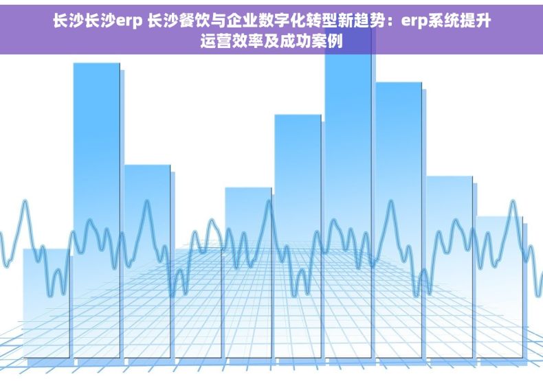 长沙长沙erp 长沙餐饮与企业数字化转型新趋势：erp系统提升运营效率及成功案例