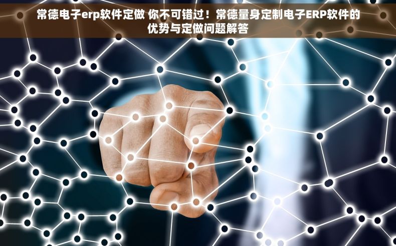 常德电子erp软件定做 你不可错过！常德量身定制电子ERP软件的优势与定做问题解答