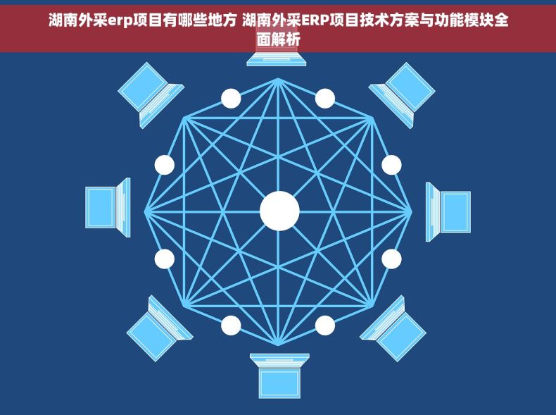 湖南外采erp项目有哪些地方 湖南外采ERP项目技术方案与功能模块全面解析