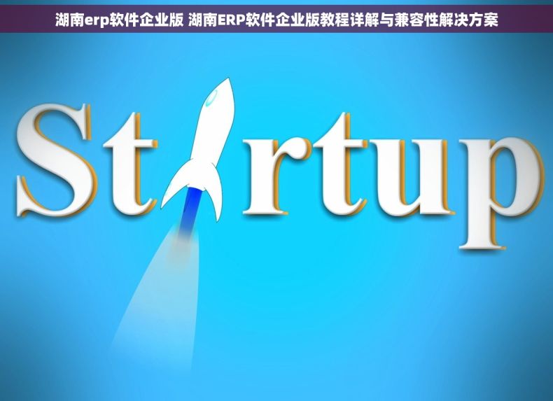 湖南erp软件企业版 湖南ERP软件企业版教程详解与兼容性解决方案