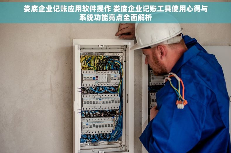 娄底企业记账应用软件操作 娄底企业记账工具使用心得与系统功能亮点全面解析