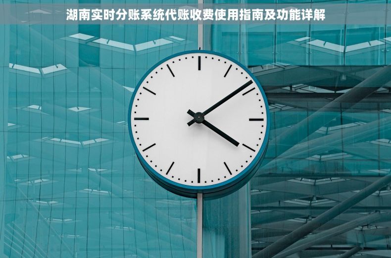 湖南实时分账系统代账收费使用指南及功能详解