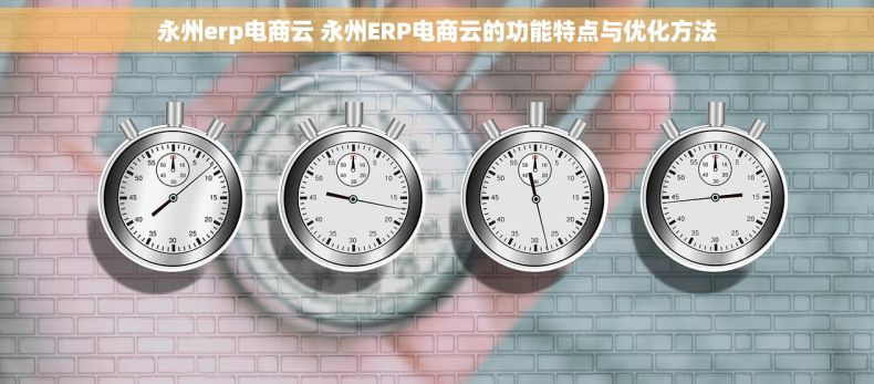 永州erp电商云 永州ERP电商云的功能特点与优化方法