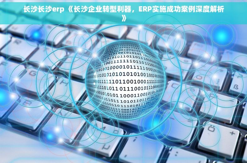 长沙长沙erp 《长沙企业转型利器，ERP实施成功案例深度解析》