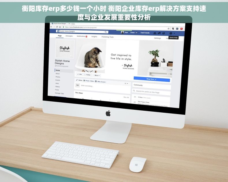 衡阳库存erp多少钱一个小时 衡阳企业库存erp解决方案支持速度与企业发展重要性分析