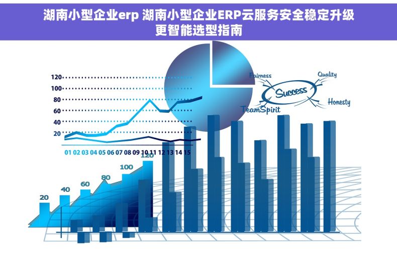 湖南小型企业erp 湖南小型企业ERP云服务安全稳定升级更智能选型指南