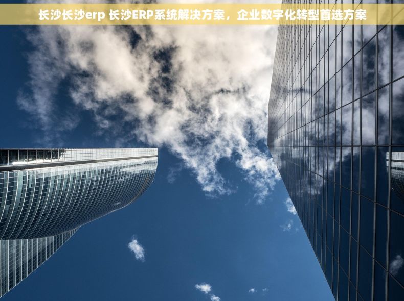 长沙长沙erp 长沙ERP系统解决方案，企业数字化转型首选方案