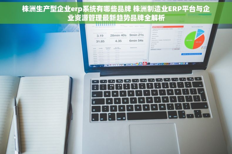 株洲生产型企业erp系统有哪些品牌 株洲制造业ERP平台与企业资源管理最新趋势品牌全解析