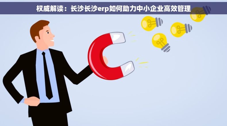 权威解读：长沙长沙erp如何助力中小企业高效管理