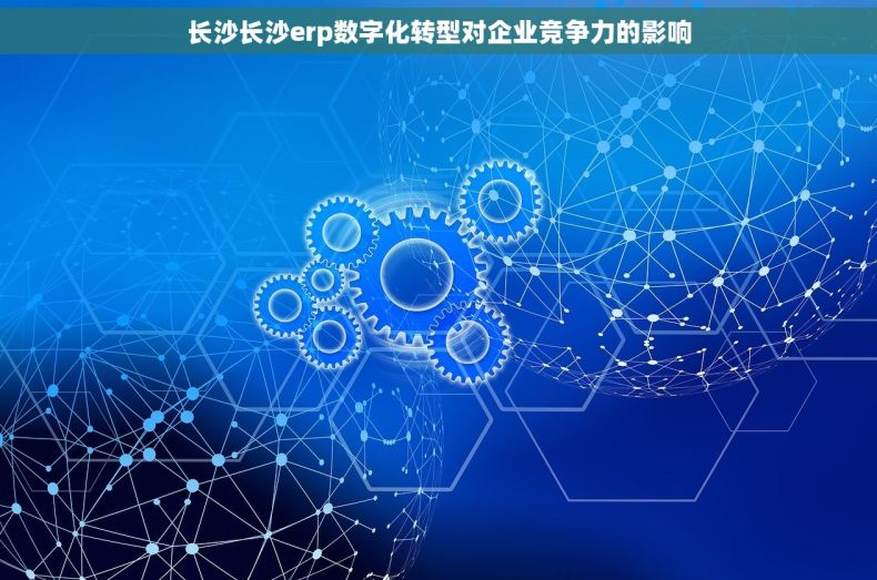 长沙长沙erp数字化转型对企业竞争力的影响