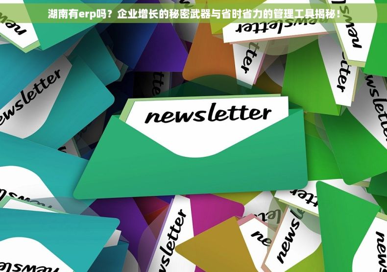 湖南有erp吗？企业增长的秘密武器与省时省力的管理工具揭秘！