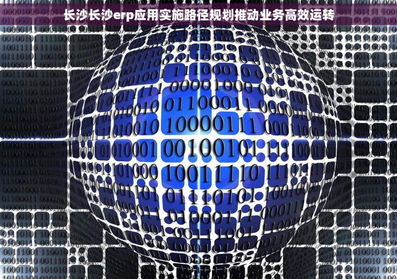 长沙长沙erp应用实施路径规划推动业务高效运转