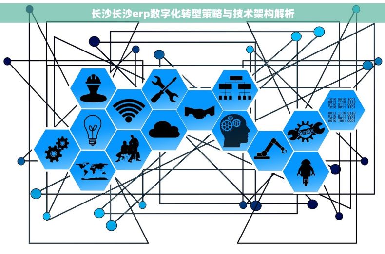 长沙长沙erp数字化转型策略与技术架构解析