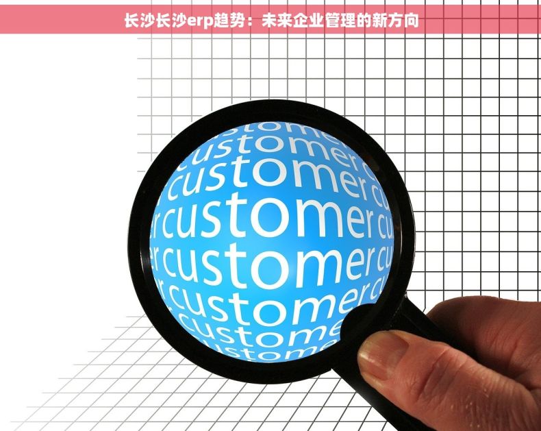长沙长沙erp趋势：未来企业管理的新方向
