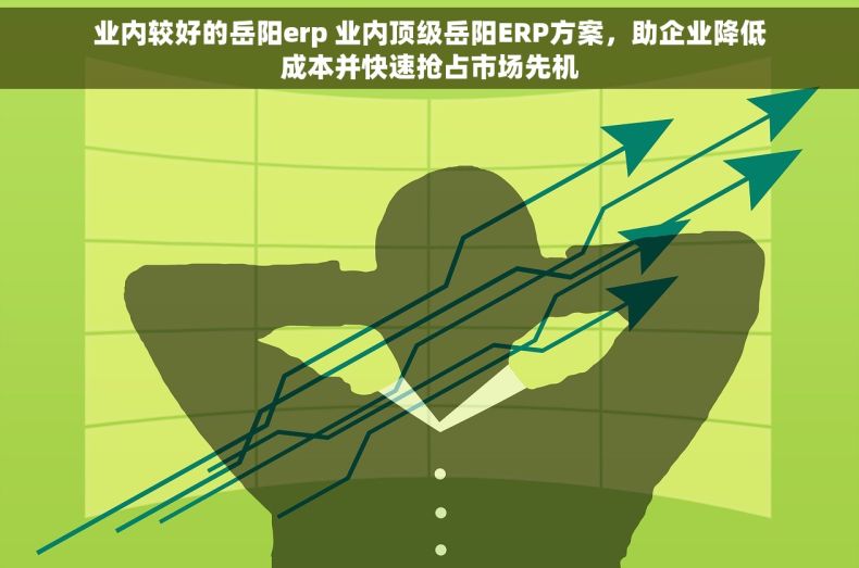 业内较好的岳阳erp 业内顶级岳阳ERP方案，助企业降低成本并快速抢占市场先机
