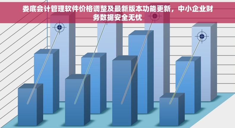 娄底会计管理软件价格调整及最新版本功能更新，中小企业财务数据安全无忧