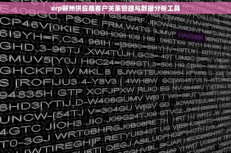 erp郴州供应商客户关系管理与数据分析工具
