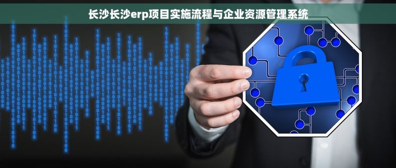 长沙长沙erp项目实施流程与企业资源管理系统