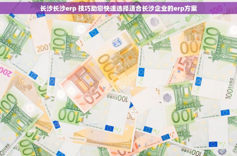 长沙长沙erp 技巧助您快速选择适合长沙企业的erp方案