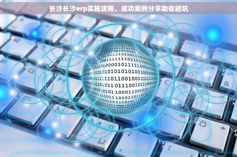 长沙长沙erp实施攻略，成功案例分享助你避坑