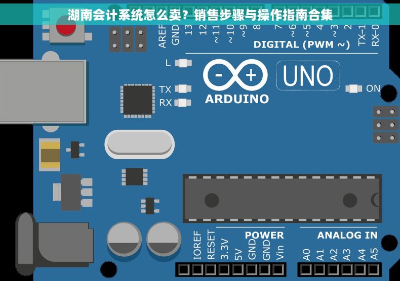 湖南会计系统怎么卖？销售步骤与操作指南合集