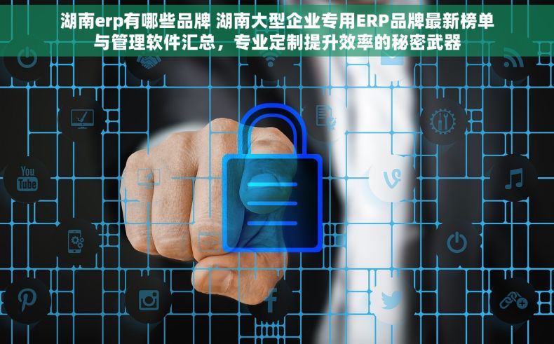 湖南erp有哪些品牌 湖南大型企业专用ERP品牌最新榜单与管理软件汇总，专业定制提升效率的秘密武器