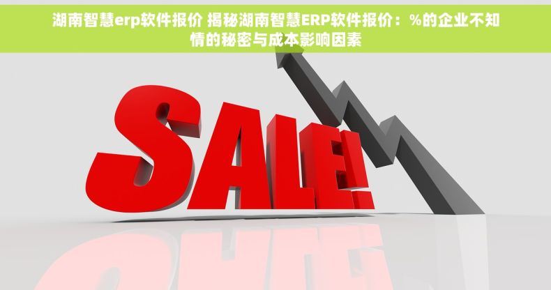 湖南智慧erp软件报价 揭秘湖南智慧ERP软件报价：%的企业不知情的秘密与成本影响因素