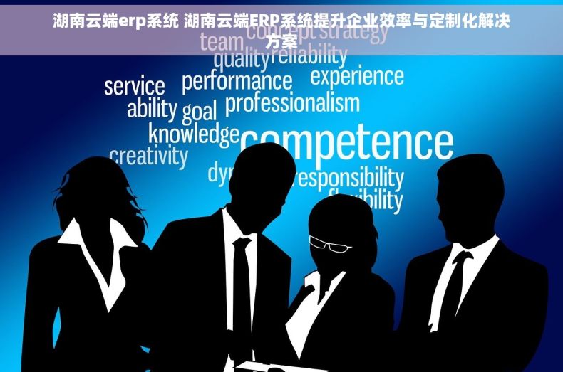 湖南云端erp系统 湖南云端ERP系统提升企业效率与定制化解决方案
