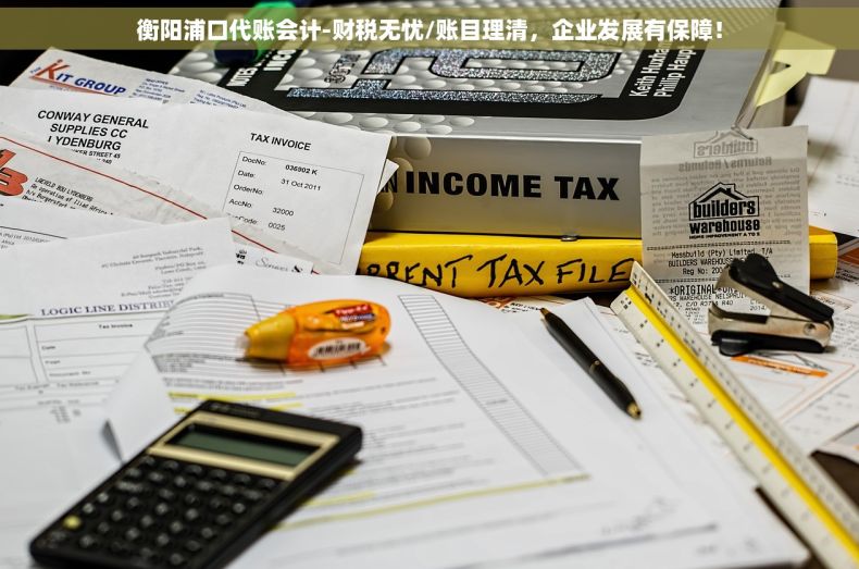 衡阳浦口代账会计-财税无忧/账目理清，企业发展有保障！