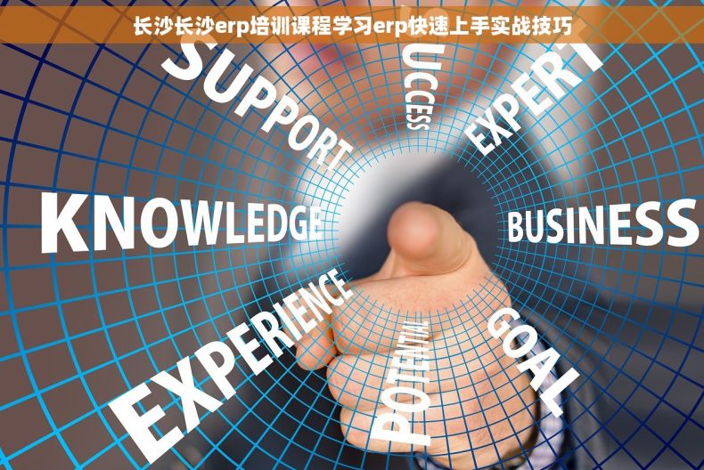 长沙长沙erp培训课程学习erp快速上手实战技巧