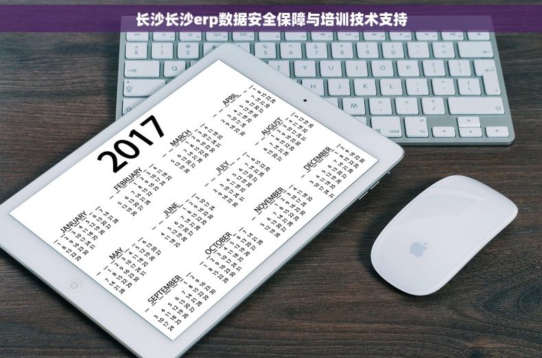 长沙长沙erp数据安全保障与培训技术支持