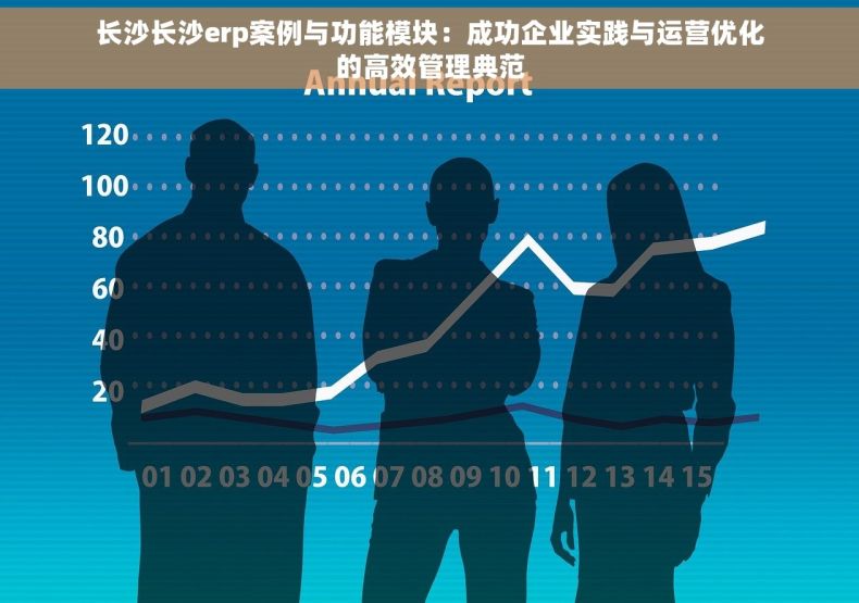 长沙长沙erp案例与功能模块：成功企业实践与运营优化的高效管理典范