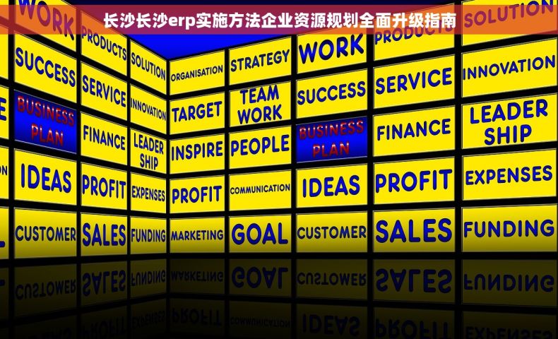 长沙长沙erp实施方法企业资源规划全面升级指南