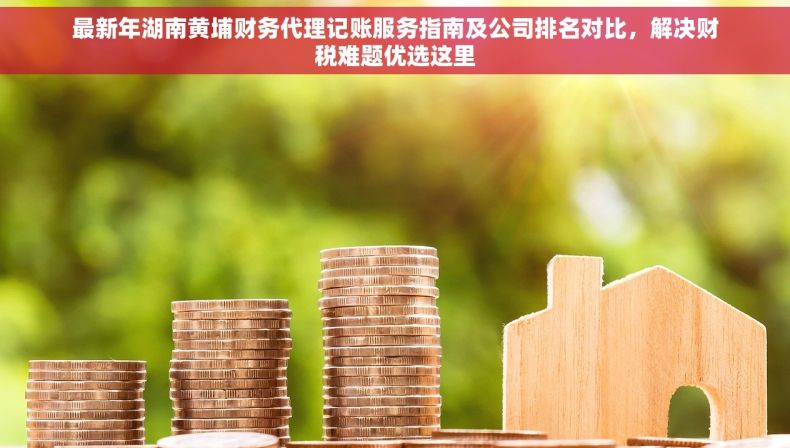 最新年湖南黄埔财务代理记账服务指南及公司排名对比，解决财税难题优选这里