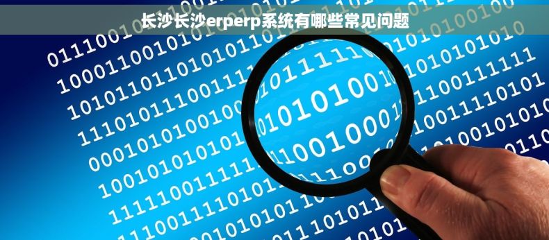 长沙长沙erperp系统有哪些常见问题