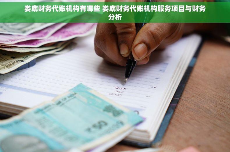 娄底财务代账机构有哪些 娄底财务代账机构服务项目与财务分析
