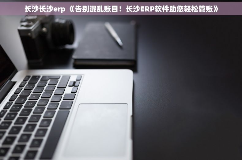 长沙长沙erp 《告别混乱账目！长沙ERP软件助您轻松管账》