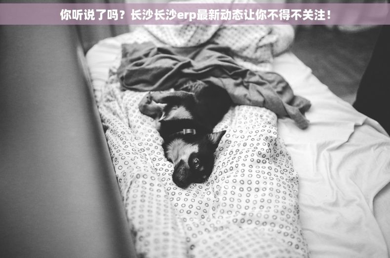 你听说了吗？长沙长沙erp最新动态让你不得不关注！
