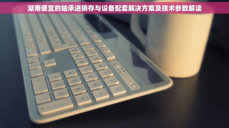 湖南便宜的轴承进销存与设备配套解决方案及技术参数解读