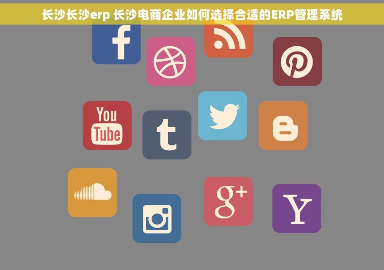 长沙长沙erp 长沙电商企业如何选择合适的ERP管理系统
