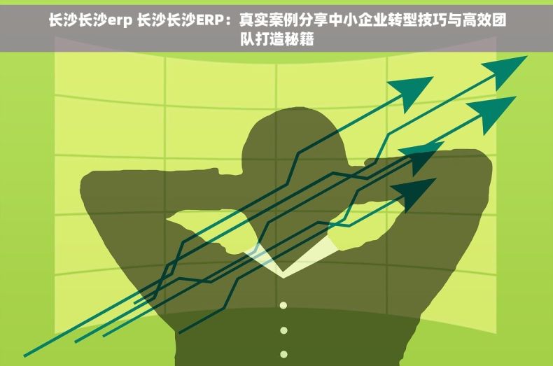 长沙长沙erp 长沙长沙ERP：真实案例分享中小企业转型技巧与高效团队打造秘籍